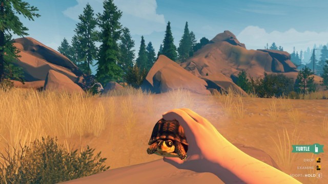 firewatch1