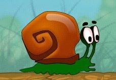 snail-bob