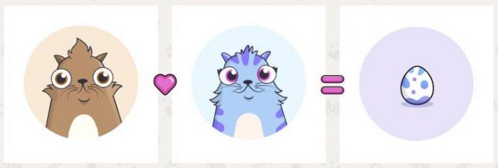 CryptoKitties photo 4