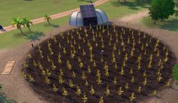 tropico4-biofarm